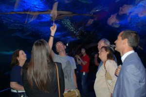 Nueva experiencia Crusoe Treasure en Aquarium San Sebastián